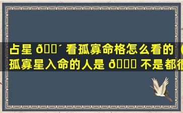 占星 🌴 看孤寡命格怎么看的（孤寡星入命的人是 🐛 不是都很孤独）